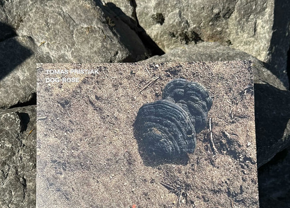 Výstava DOG - ROSE Dunajcik 2025